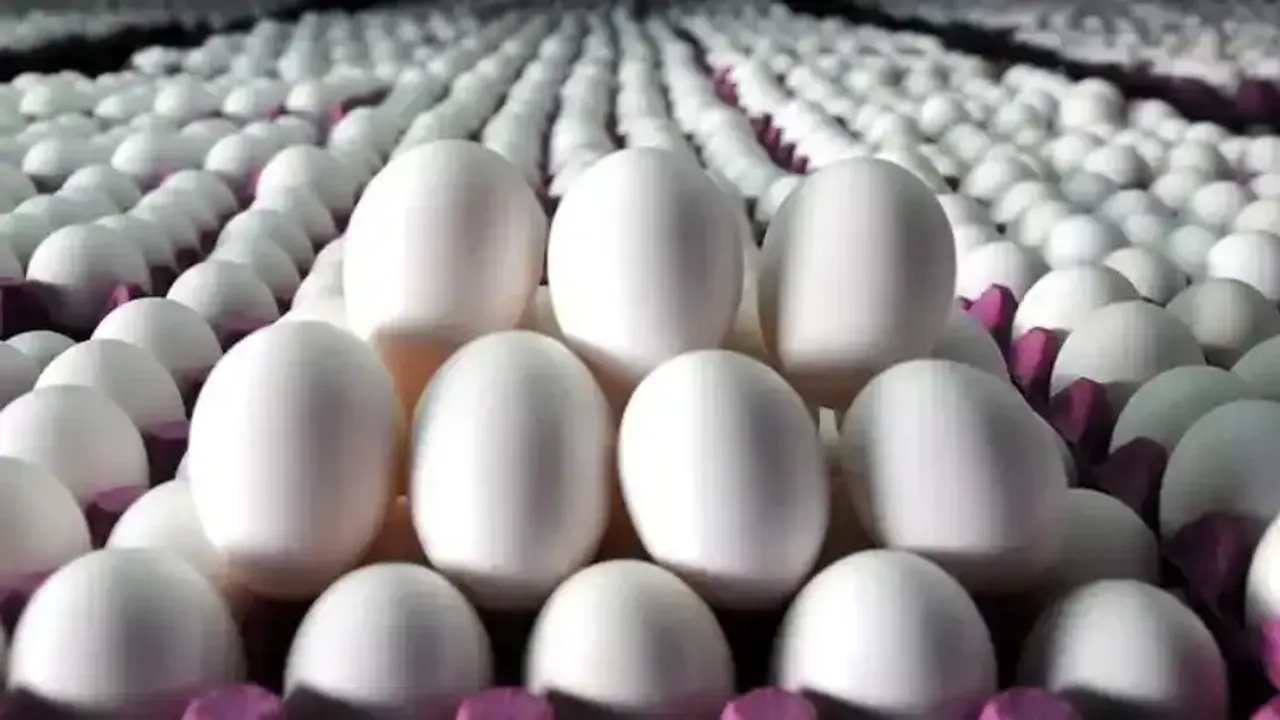 Rüyada yumurta görmek