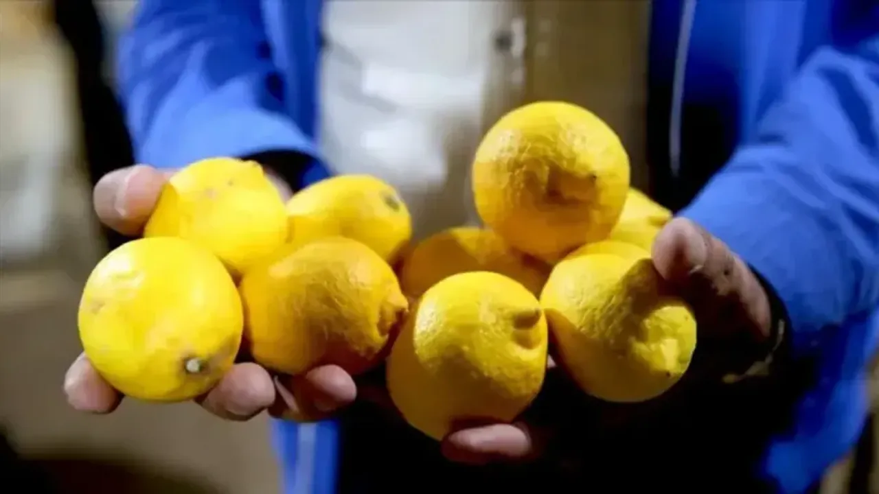 Limona Bakanın Yüzü Ekşiyor: 1 Kilo Limon Kaç TL?
