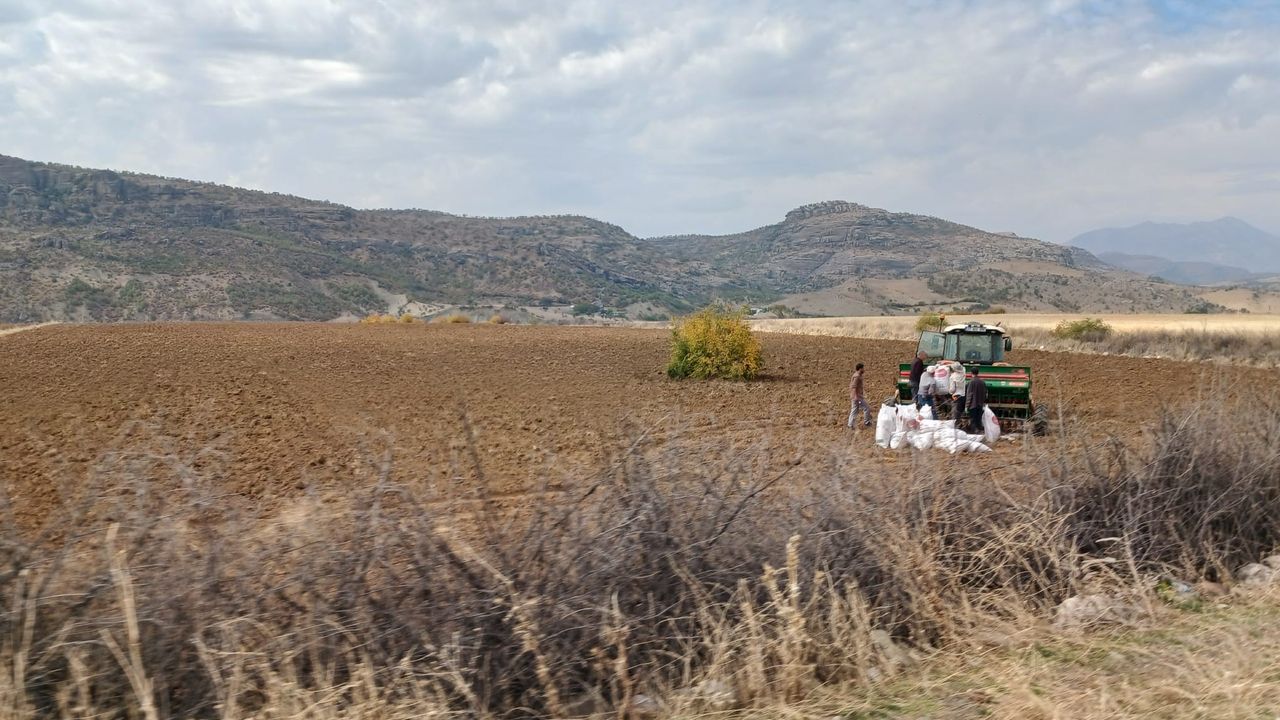 Kulp’a ekim zamanı geldi