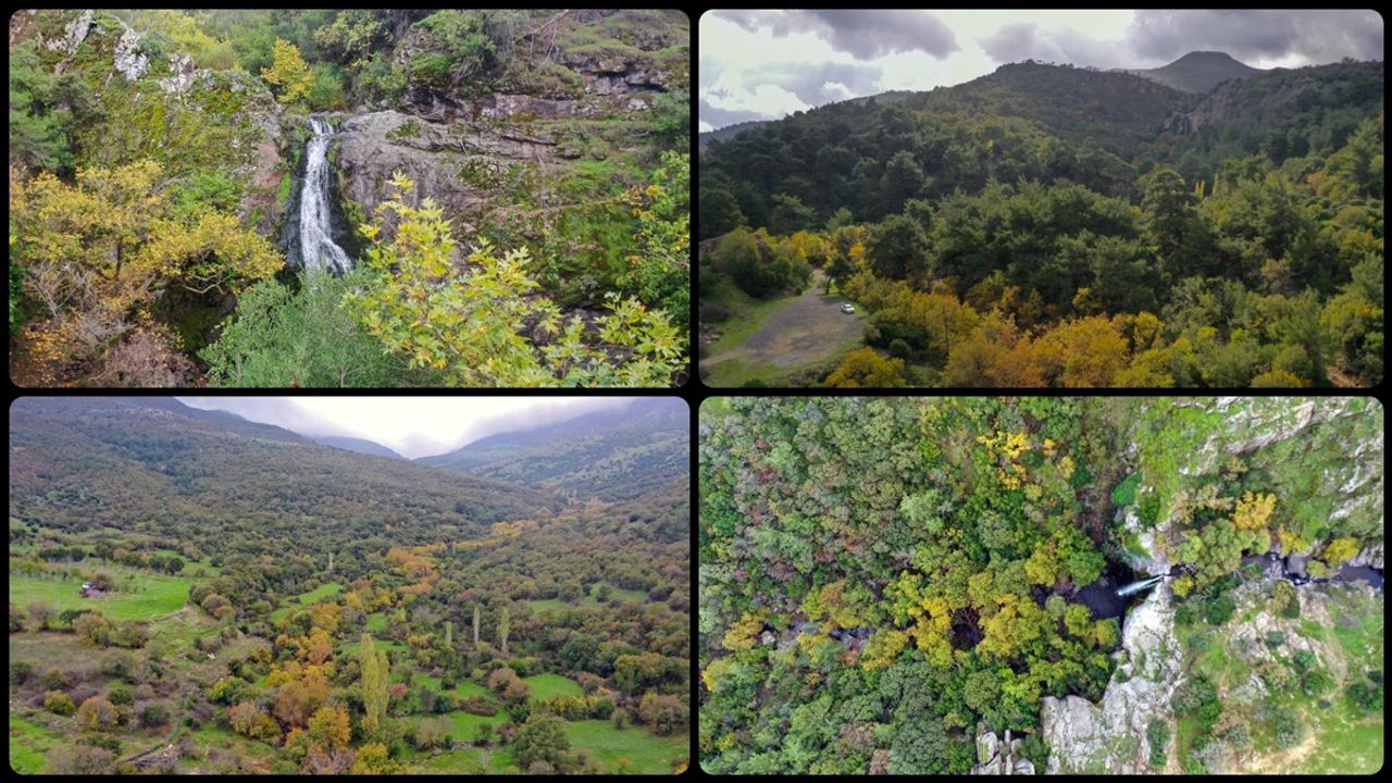 Yunt Dağları hazana büründü