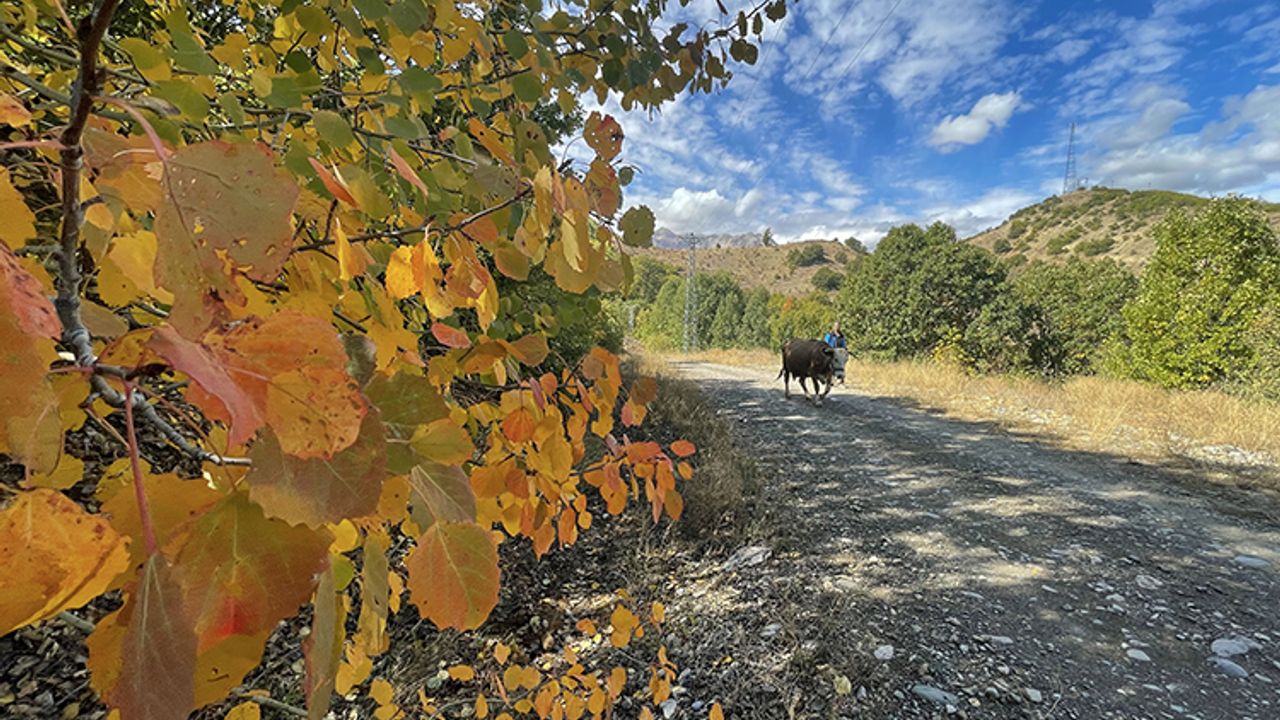 Tunceli, bu mevsimde şaşırttı!