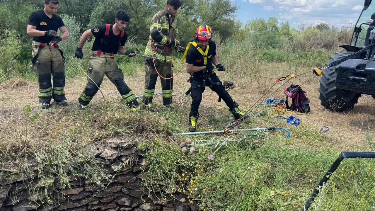 Diyarbakır'da su kuyusunda mahsur kalan yaban domu