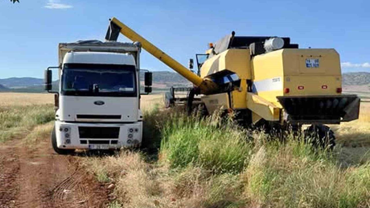 Bölgenin Tahıl Ambarında Sezonun İlk Hasadı Yapıldı! İşte 20