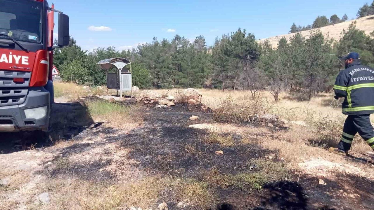 Şanlıurfa'da ormanlık alanda korkutan yangın!