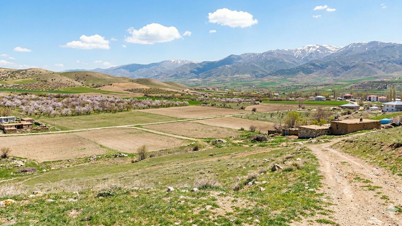 Malatyalıları Rahatlatacak Bakanlık Alım Fiyatları Açıklandı