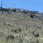 Malatya'da TOKİ'lerin Dibine Kadar İndiler! Görenler Şaşkınlığını Gizleyemedi