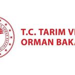 Tarım ve Orman Bakanlığı 1.874 personel alımı sonuçları için gözler Bakanlıkta: Sonuçlar ne zaman açıklanacak?