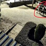 Diyarbakır’da Korkunç Olay! Eşini Öldüren Şüpheli İçin Kritik Gün