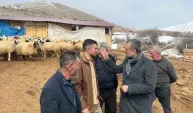 Malatyalı besicilere müjde: E-Devlet'ten ahır desteği
