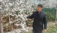 Malatya’da kayısı üreticileri zirai don tehlikesiyle karşı karşıya