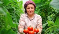 Maraş’ta örtü altı üretimde önemli adım!