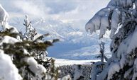 Erzurum, Ardahan, Kars ve Ağrı'da dondurucu soğuk hava etkili oluyor.