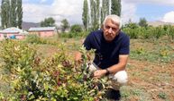 Sarız’da yeni tarım hamlesi: Aronya ile ekonomiyi büyütmeyi hedefliyor