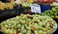 Kilosu 150 TL’ye ulaşıyor! Sivas’ta şifa deposu hünnap tezgahların gözdesi oldu