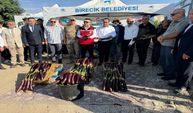 Birecik’te Festival Coşkusu Tarlaya Taştı: Tescilli Patlıcan Hasadıyla Başladı