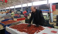 Dikenlerin Arasında Saatlerce Uğraşıyorlar! Kışın Tüketmek İçin Topluyorlar