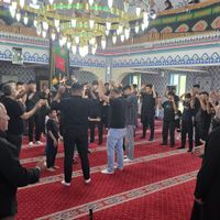 Yaşam