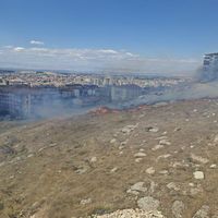 Asayiş