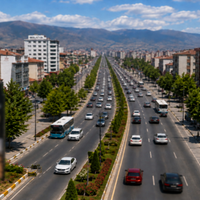 Yaşam