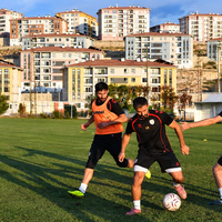 Spor