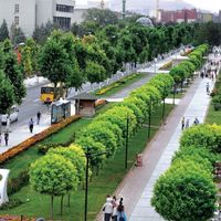 Yaşam