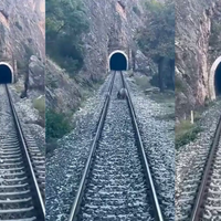 Yaşam