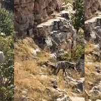 Yaşam