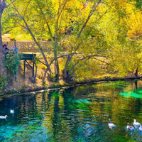 Yaşam