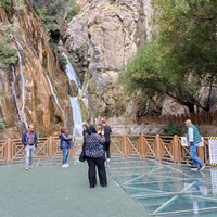 Yaşam