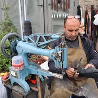 Yaşam