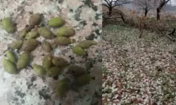 Dolunun vurduğu Malatya’da ilk tespit kalite kaybı!