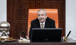 Sırrı Süreyya Önder'in koltuğuna oturacak isim belli oldu