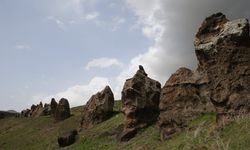'Nemrut'un develeri' korumaya alınıyor