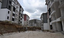 Doğanşehir yeniden ayağa kalkıyor