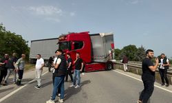 Bir arının yaptığına bak...Yüzlerce kişiyi mağdur etti