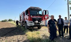 Adıyaman'da kısa sürede büyümesi korkuttu!