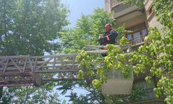 İtfaiyenin kedi mesaisi başladı!