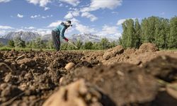 Malatya Dikkat: Destek Ödemesi Bugün Yapılacak!