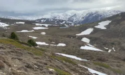 Arıcılığın Kalbine Tuz Ocağı! Köylü İsyanda