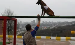 Köpekli Arama Timlerine 2 Yıllık Sertifika Şartı! Yeni Yönetmelik Resmi Gazete’de