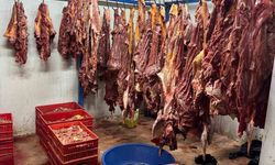 3 ton bozulmuş  at eti ele geçirildi!