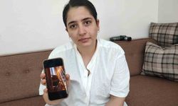 Adana'da kayıp kedi bulunmazsa kocası boşayacak