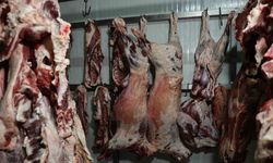 Adanalı Esnaf İsyanda: “Kebapta At Eti Olur mu?”