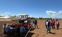 Adıyaman'da  tütün ekimi başladı