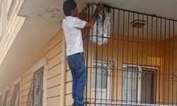 Arılarla Aşk Yaşıyor! 'Öpüyorum, Kokluyorum, Sokmuyorlar'