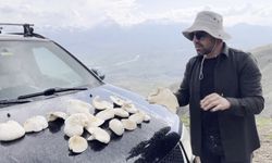 Erzincan'da dağlarda kendiliğinden yetişiyor, kilosu bin 250 TL’den satılıyor