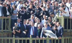 İnci kefalinin zorlu göçü başladı! Bakan Tekin, yerinde izledi!