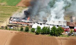 İtfaiyeden Zamanla Yarış! Çiftlik Yangını Havadan Böyle Görüntülendi