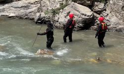 Yüksekova'da Korkunç Kaza: 16 Yaşındaki Çocuk Avaşin Deresi'nde Kayboldu