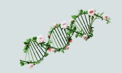 Karma Astroloji: Geçmiş Yaşamlarınız Geleceğinizi Nasıl Etkiliyor?